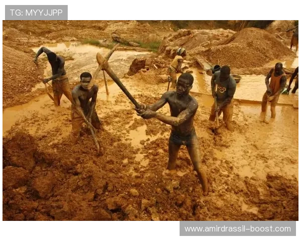 寻宝黄金城游戏下载攻略，详细步骤助你快速进入游戏世界