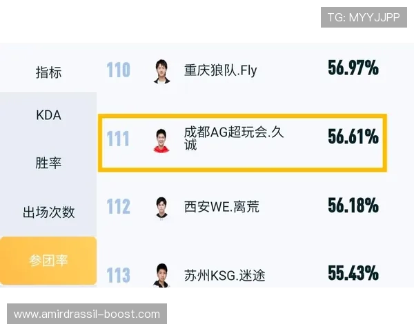 如何根据AG电子排布图调整游戏策略实现收益最大化提升玩家胜率的实用技巧